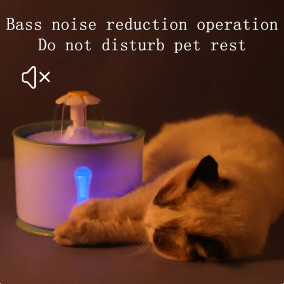 Pet Flower Fountain Success - Picture 2 of 11